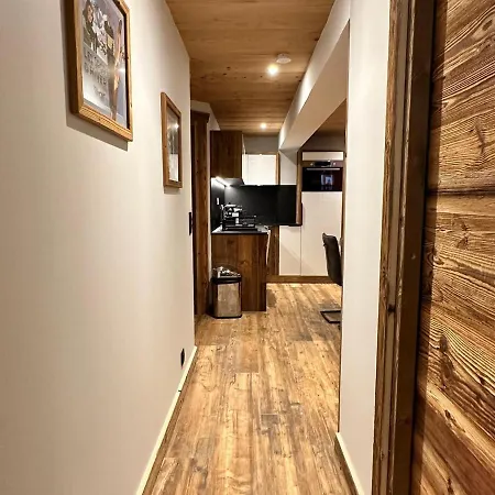 Apartment Moderne Au Coeur De Notre-dame-de-bellecombe, Proche Pistes Et Commodites - Fr-1-505-185